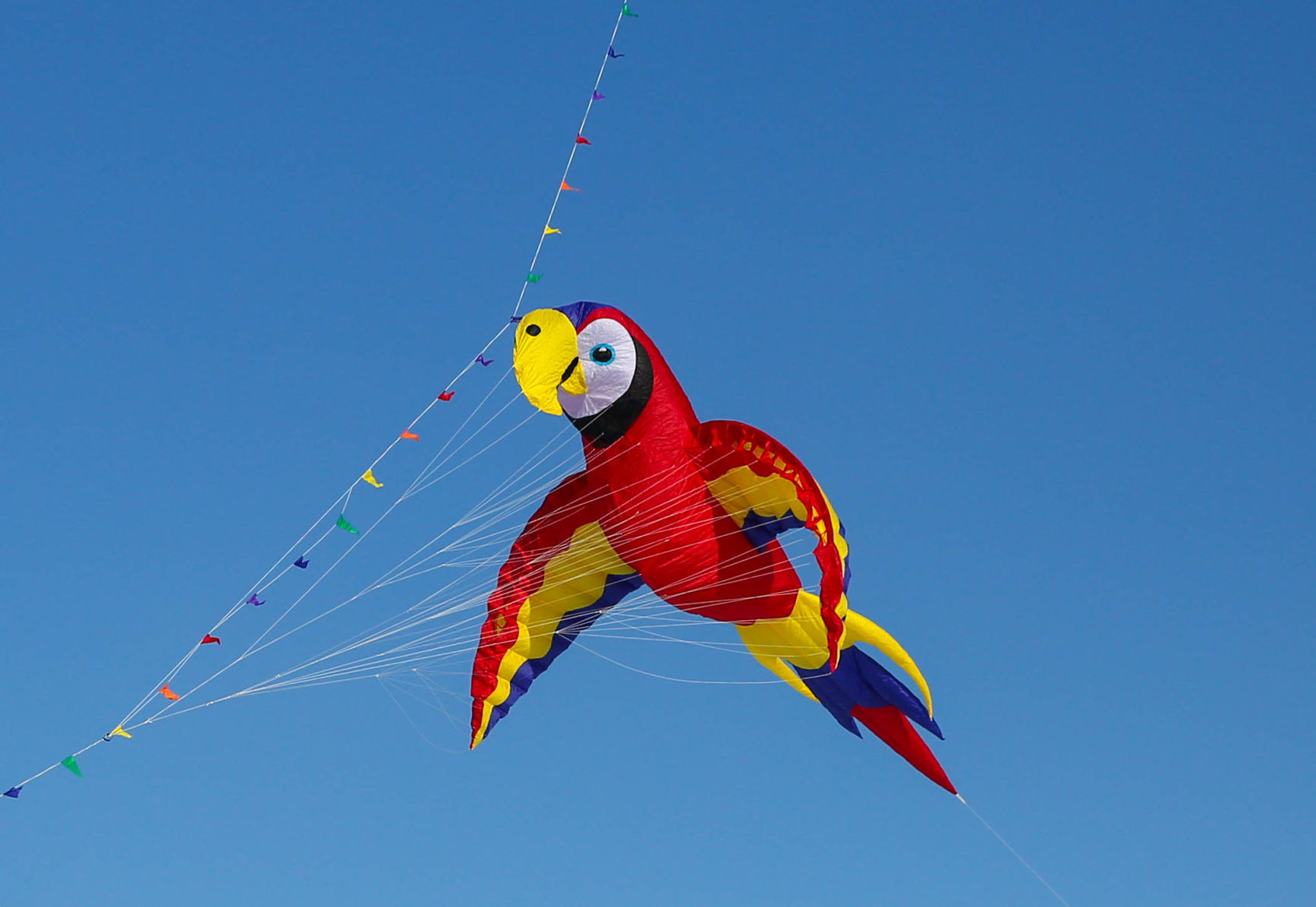 Color the Wind kite festival 02-15-2020 (26).jpg